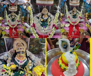 श्री कृष्ण जन्माष्टमी महोत्सव-imge1